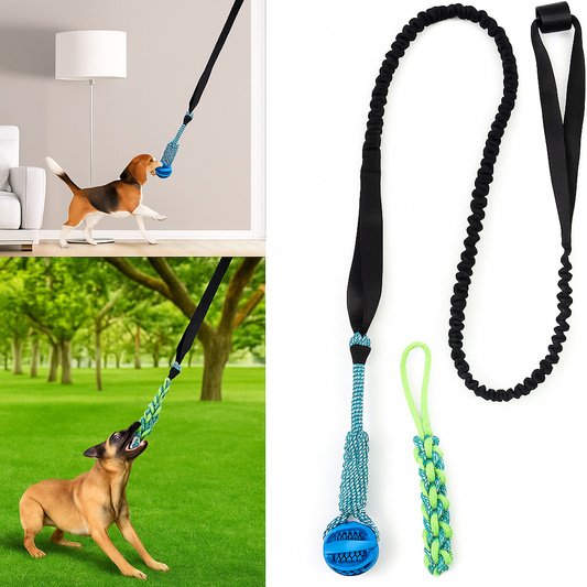 Browny's Bungee Pull Rope – Interactive Play & Chew Toy for Active Dogs