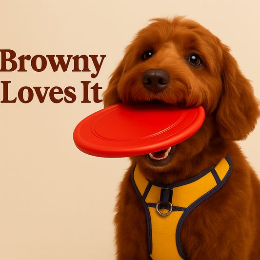 🥏 Browny's favorite Frisbee – For endless fun!