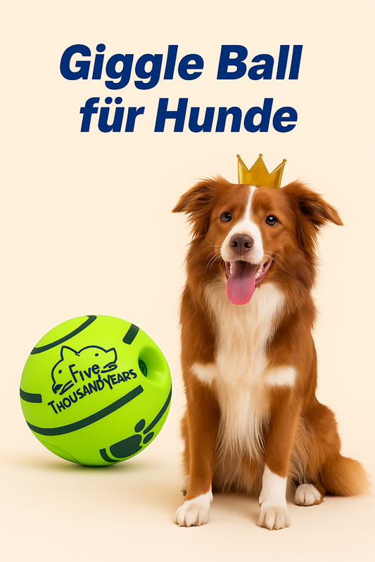 Giggle Ball – Brownys Lieblingsspielzeug!