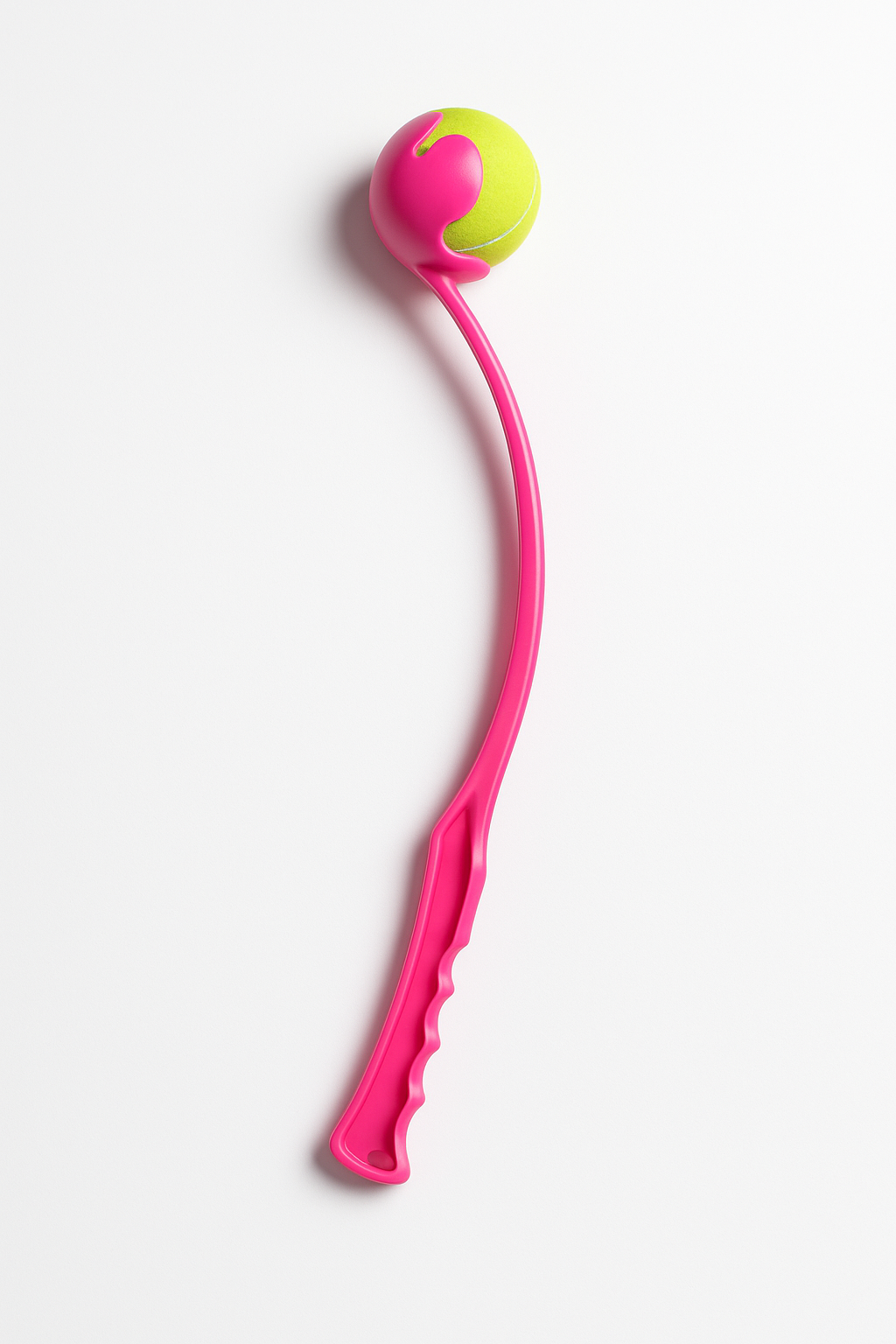 Le lanceur de balles préféré de Browny – pour un plaisir sans fin